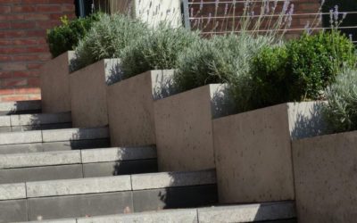 Planters made of architectural concrete